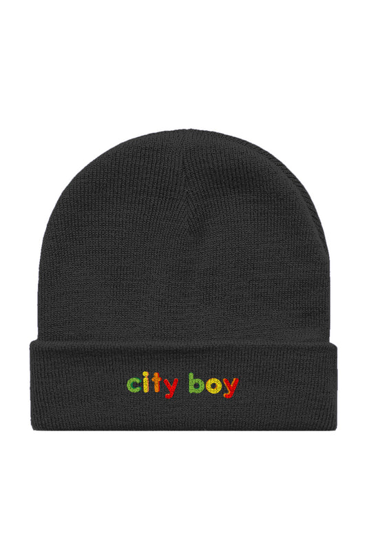 city boy beanie